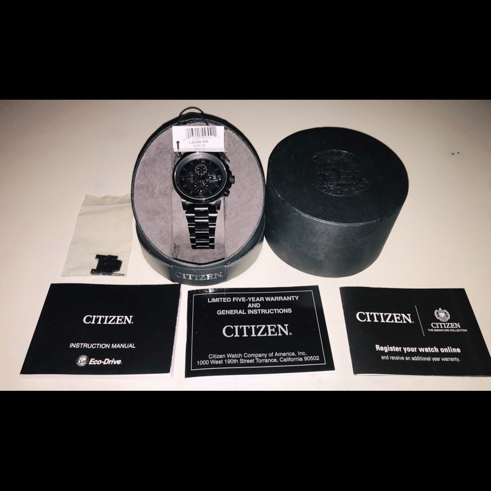 Citizen nighthawk (new)